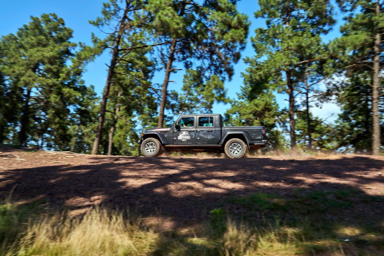 E6DgX4ThSCWNyGhHzLHkRg